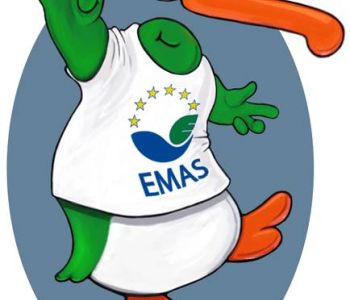 DéDO & EMAS Christian-Michel Joiris