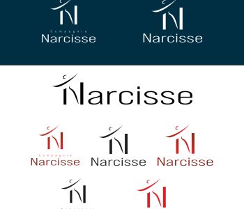 Logo Compagnie de Danse Narcisse