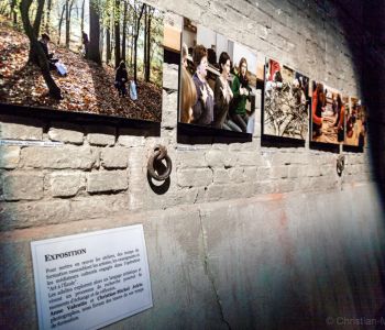 Expo Art à l'école à Charleroi Danse
