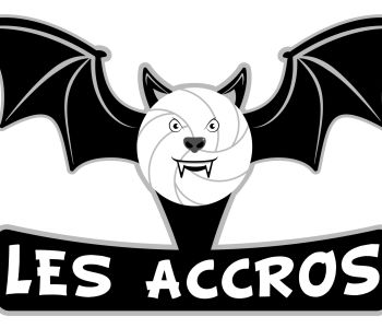 Logo pour équipe de volley-ball